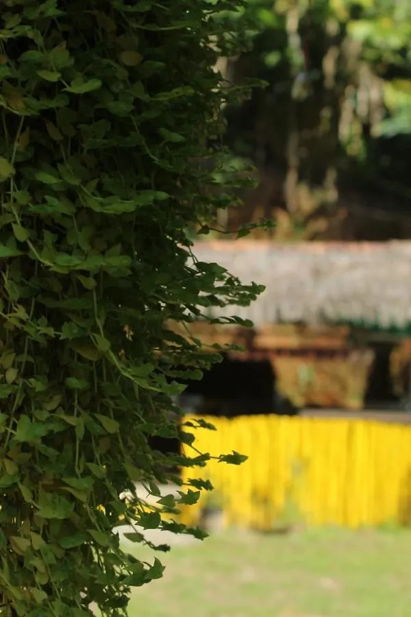 The Midnight Campers Bed & Breakfast Munnar